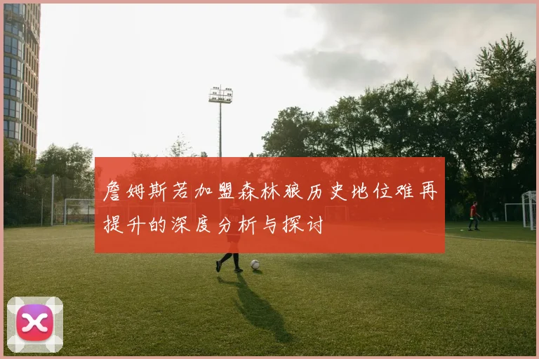 詹姆斯若加盟森林狼历史地位难再提升的深度分析与探讨